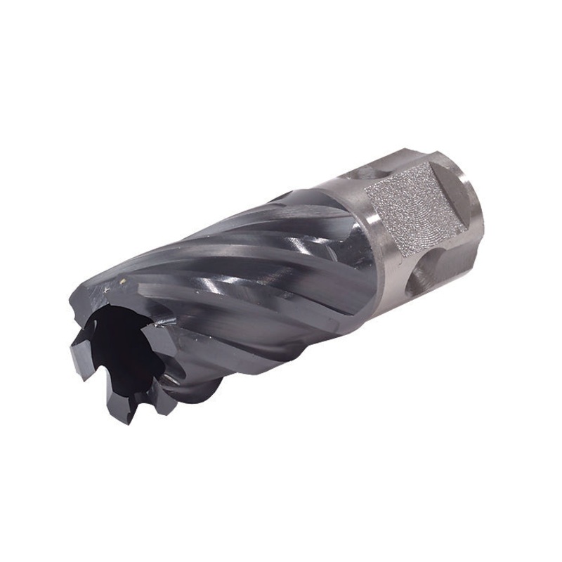 Walter (365) 05F310 5/8" X 2" DEPTH ICECUT ANNULAR CORE CUTTERS Universal Shank